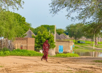 Specialists launch an initiative to encourage reverse migration from cities to the countryside