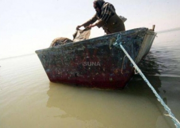 Huda Abdul-Hameed .. the success story of “Tilapia-fish Lady”