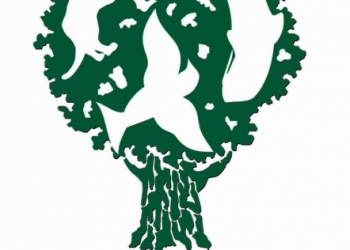 “6” Entrepreneurial Projects Wins “Ford Environmental Protection Grant”