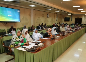Regional State portfolios of microfinance in Sudan