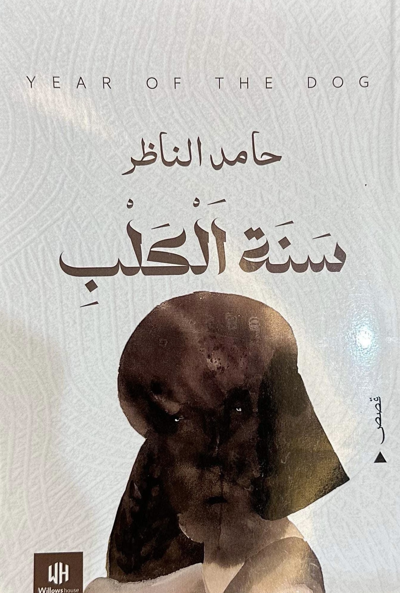 “سنة الكلب”… حين تكتب القصة القصيرة سيرة وطنٍ في مرايا الرموز